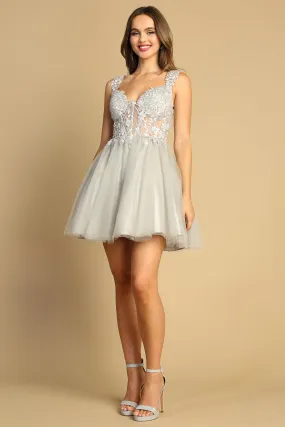 Silver Embroidered Short Sheer Corset A-Line Dress