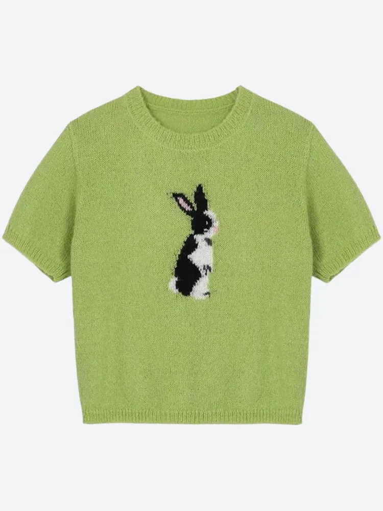 Soft Girl Rabbit Knitted Top